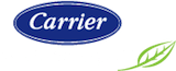 Carrier